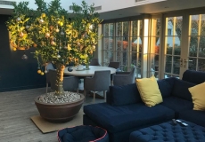 stylish-timber-orangery