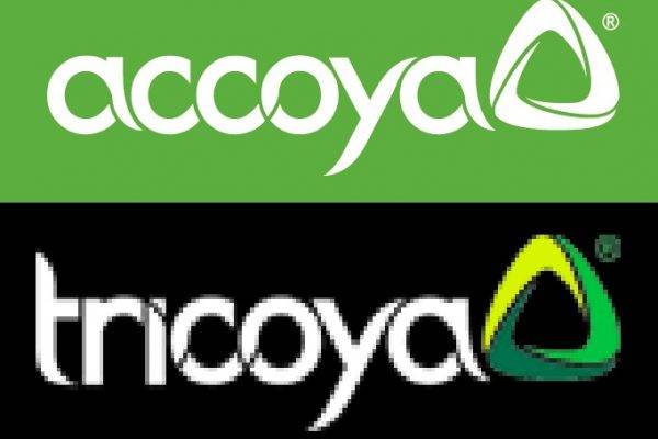 Accoya logo - working together