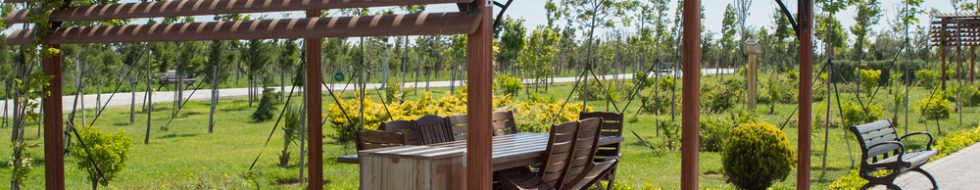 Pergola- exquisite garden joinery