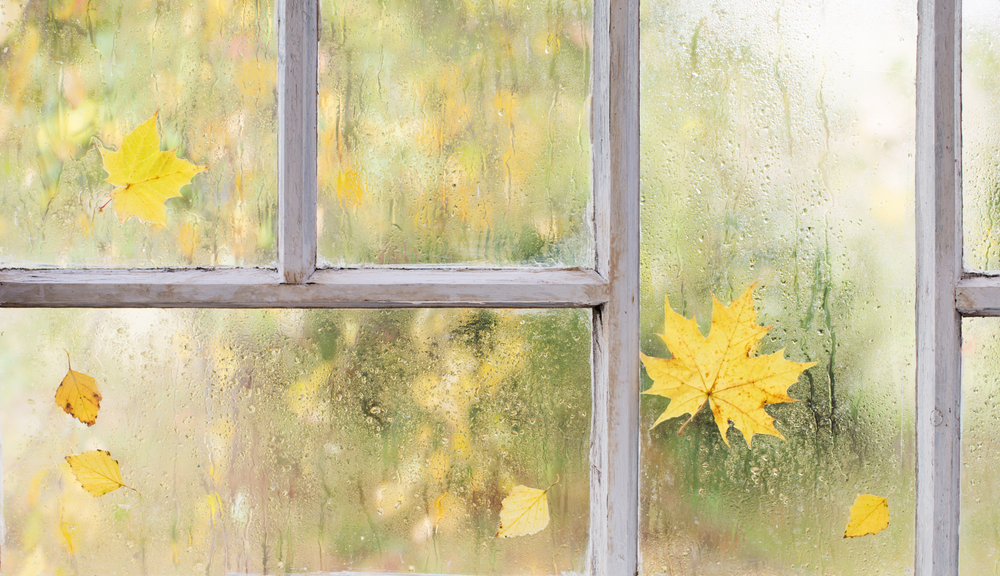 A close up of a window with rain fall and yellow leaves on it